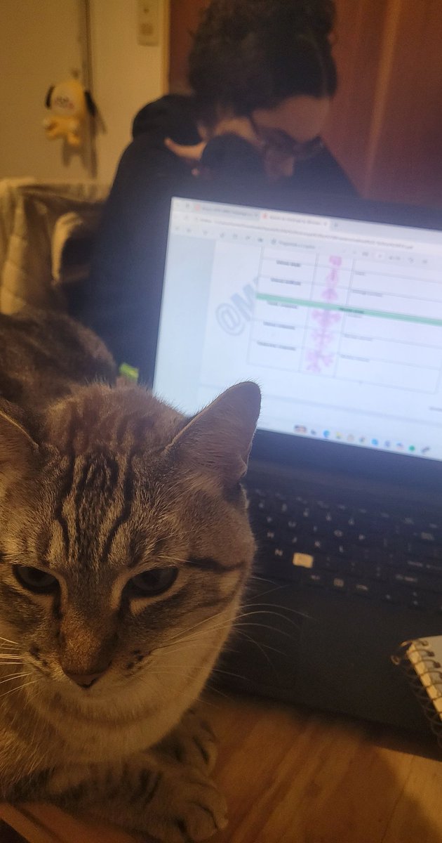mimi tweet media