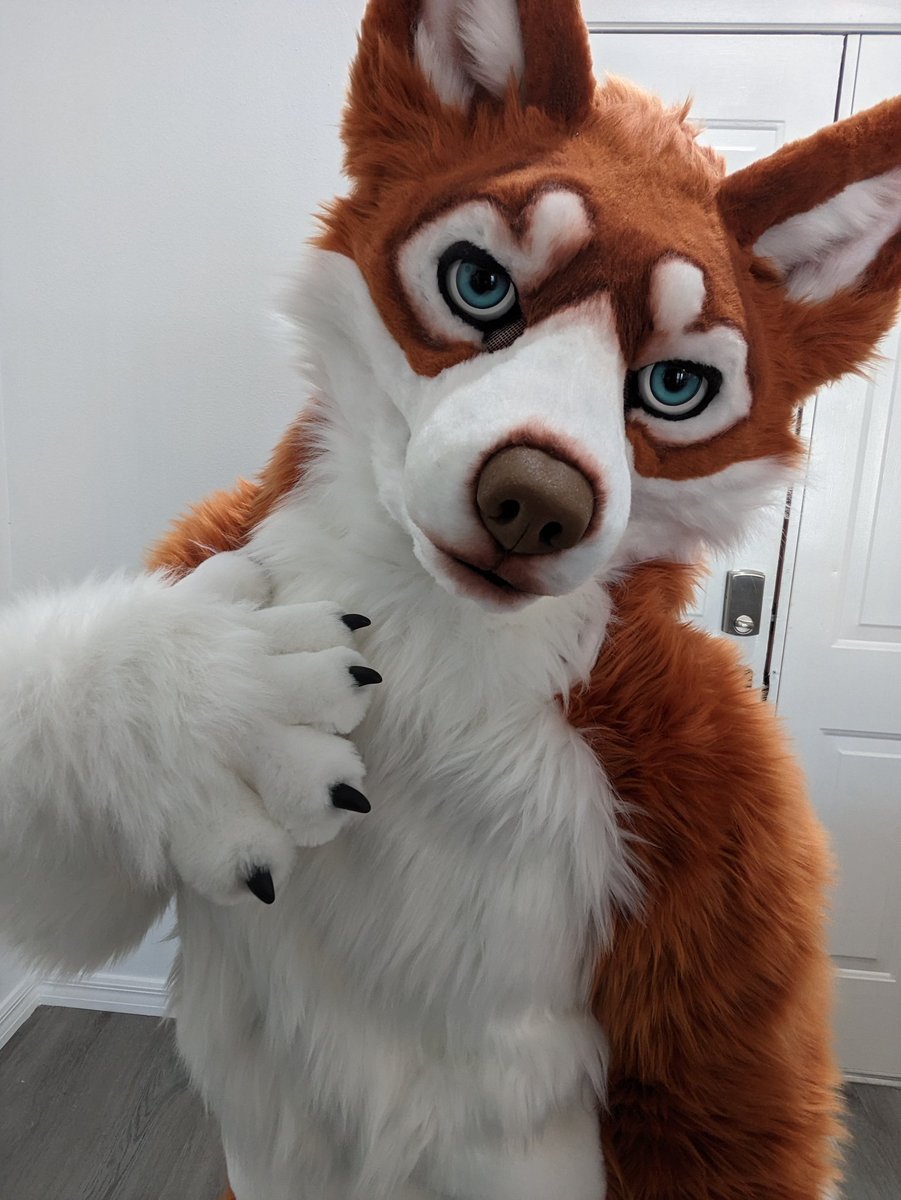 Sarahcat Fursuits tweet media