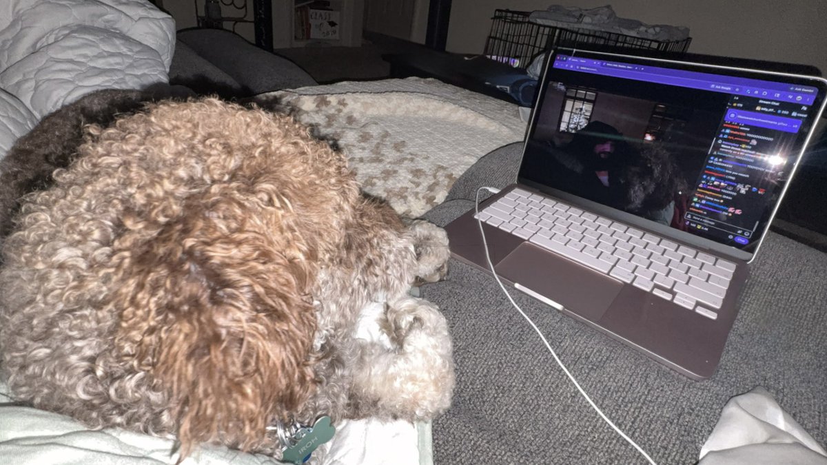 DeviTheDeviant's tweet photo. Iroh watching caseoh with me 🫶 https://t.co/NAUx1CWsQ0