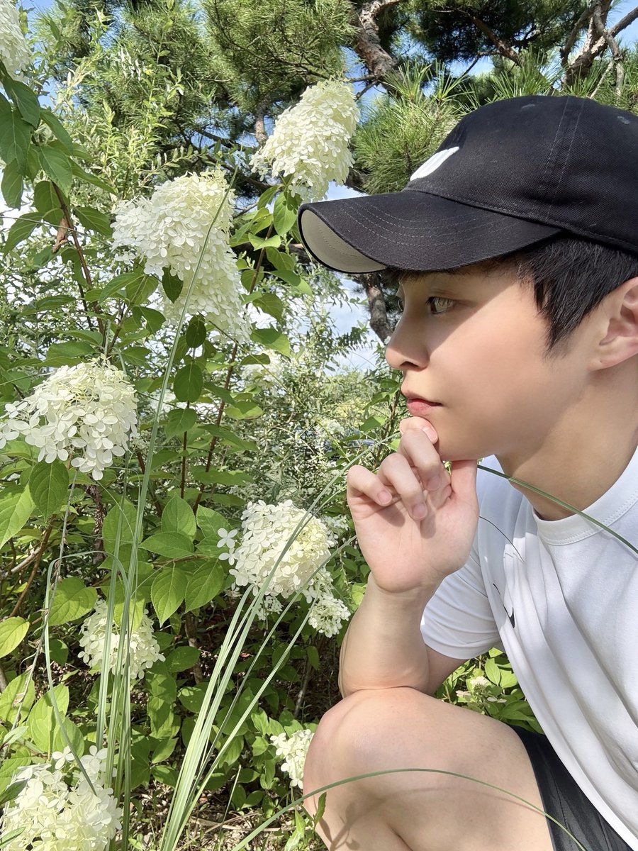 exoelsa326's tweet photo. 꽃과 시우민🥰
#시우민버블 #슈밍버블 https://t.co/lsCod4hWJe