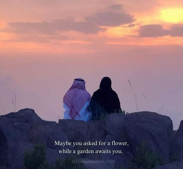 abeer tweet media
