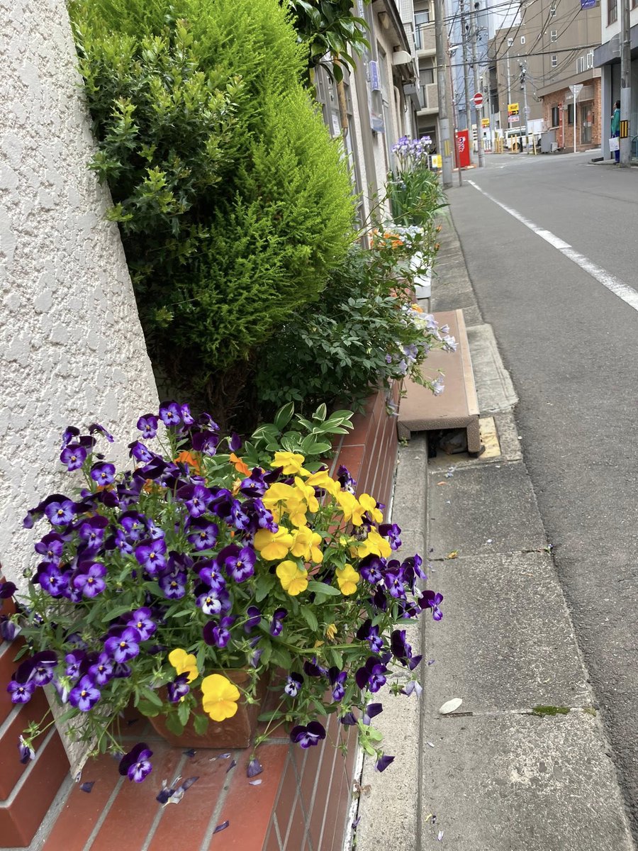 socilabo's tweet photo. おはようございます。 
ソシラボは元気に開店しています！
本日も 18:00 まで通常営業をしております。
（ドロップインの最終受付は 17:00 です。）
#socilabo #ソシラボ  #コワーキング 
どんより曇り空。昨日は暑かったのに今日は肌寒いですね。体調、お気をつけて！ https://t.co/Hi1C1r3o0f
