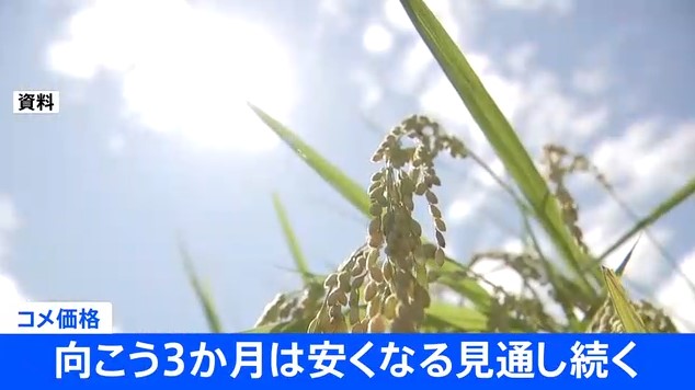理想ちゃんねる tweet media