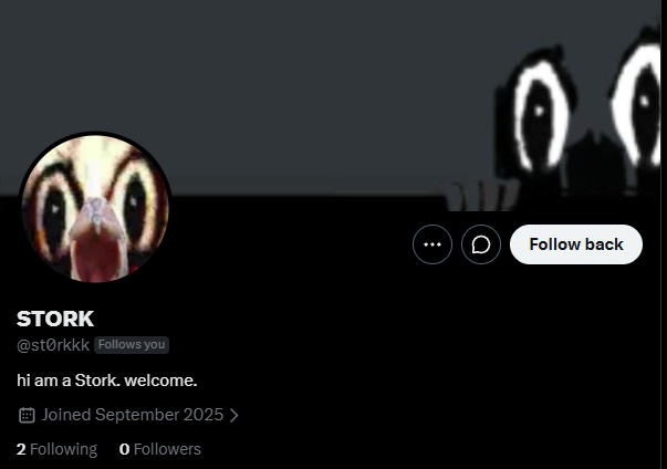 storkii tweet media
