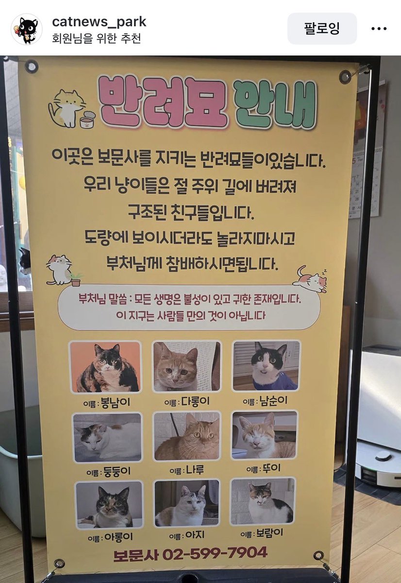 판소리복서 응가너구리 tweet media