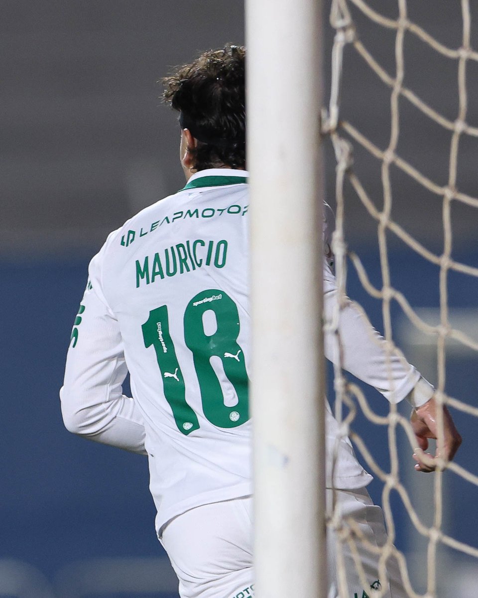 SE Palmeiras tweet media