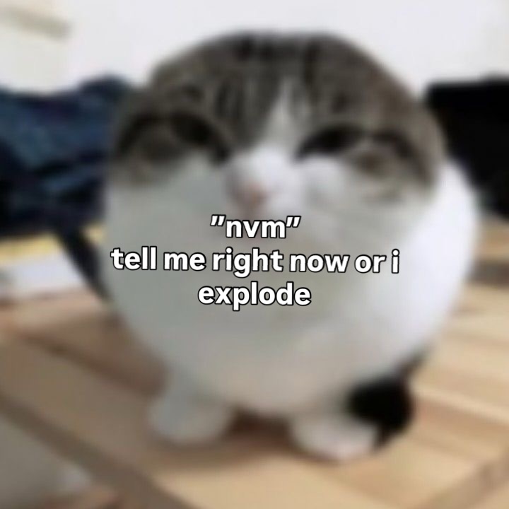 cats being cats tweet media