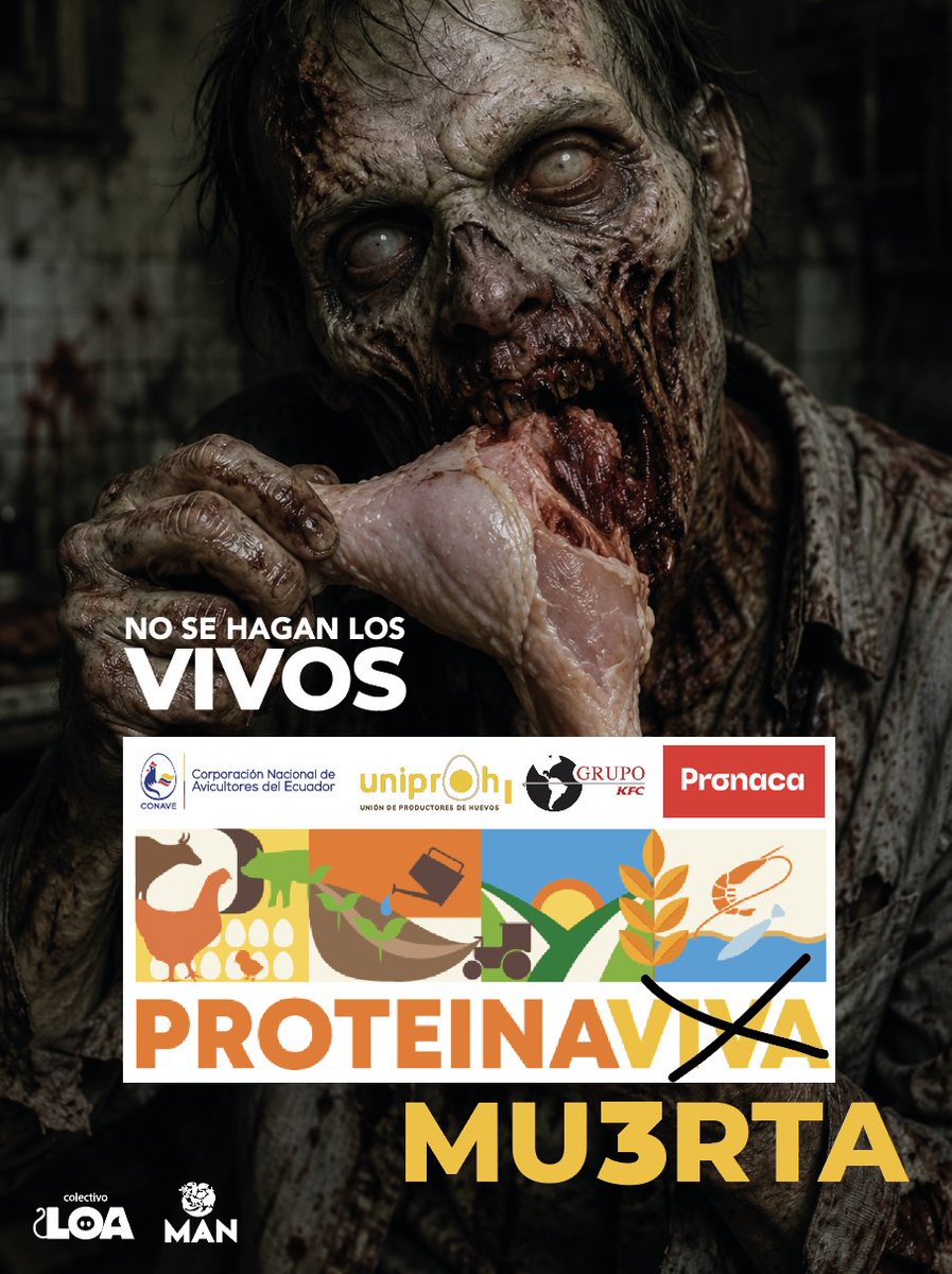 LoaEcuador's tweet photo. Los consumidores tienen derecho a información real y transparente.
Evento #ProteínaViva buscan humanizar a las marcas que explotan animales, mientras su negocio lucra de la crueldad.
#NoTeHagasElVivo tú vendes #ProteinaMu3rta @GrupoKfcEcuador @pronacaec @uniproh_ec @conave_ec https://t.co/z501tLOFGJ