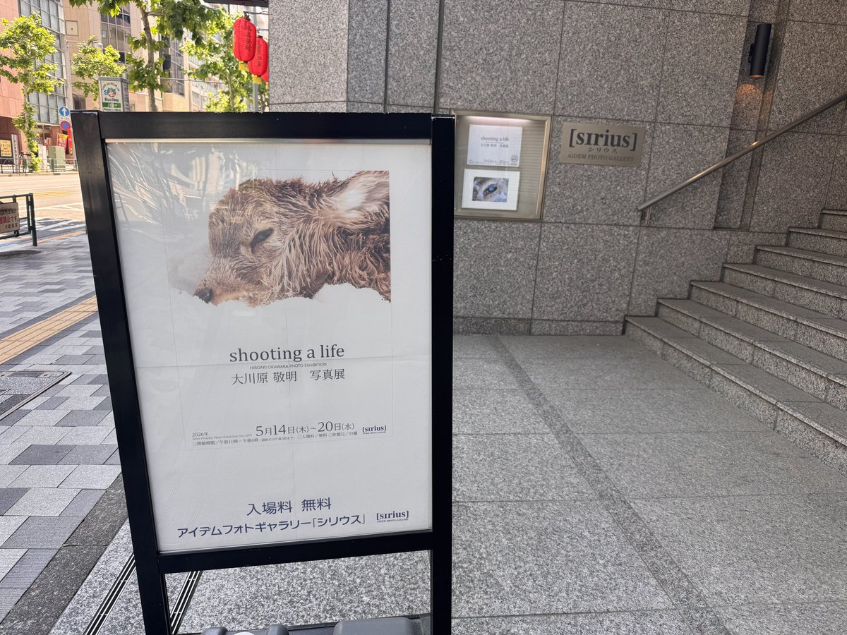 Hunter Mikio tweet media