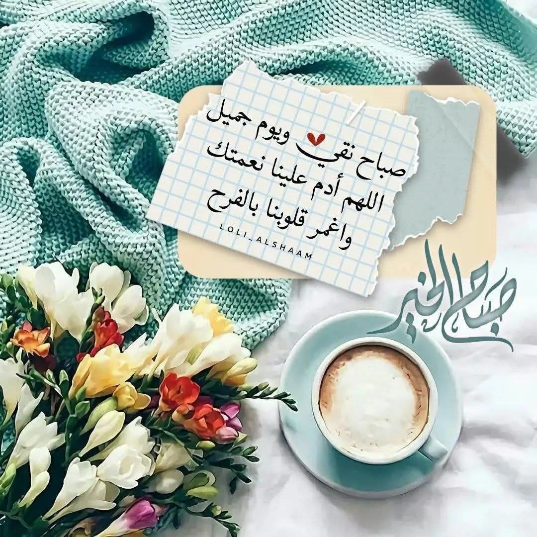 حامد الثبيتي tweet media