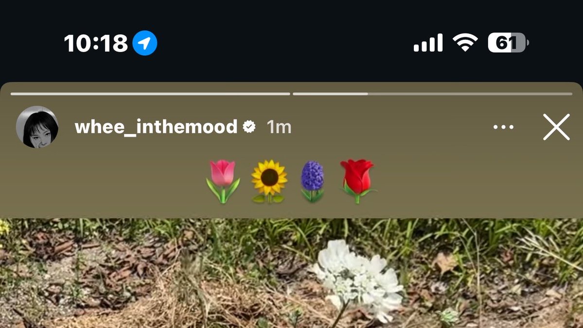 유문 yeewen 🍀 tweet media