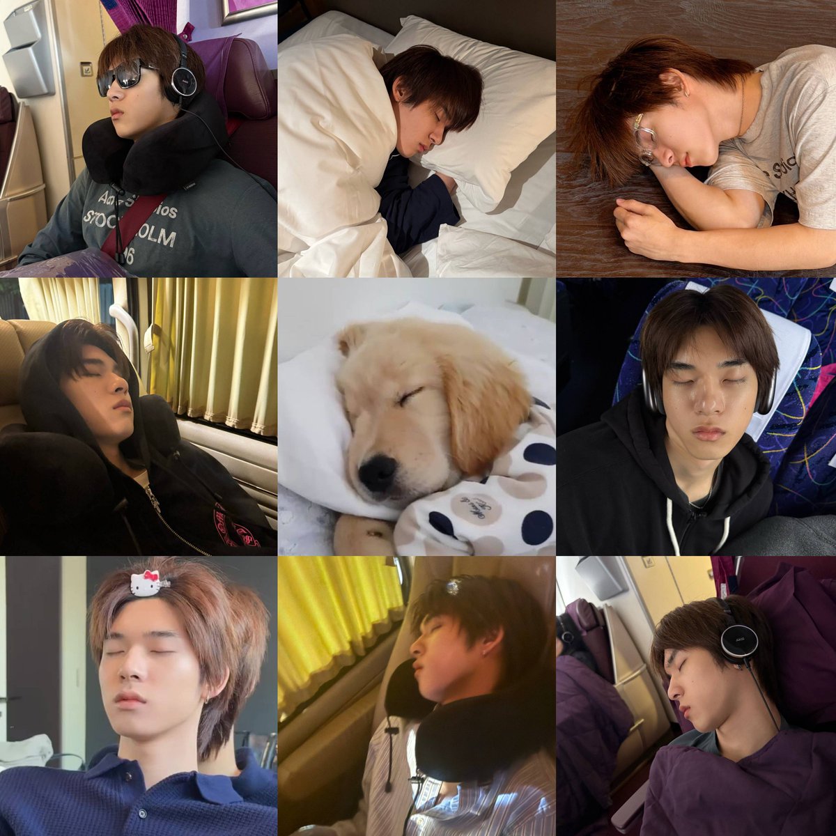 ♡ 𝟸𝙵𝚊𝚑 ♡🐶 tweet media