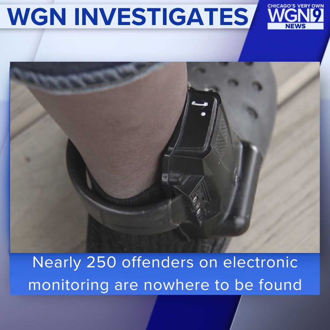 WGN Morning News tweet media
