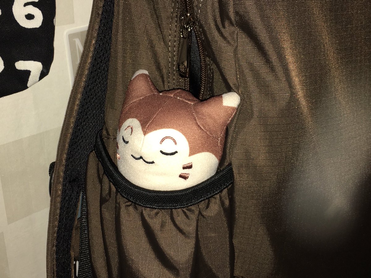 kimjinzzapaguri's tweet photo. 이 가방 좋은 점 옆주머니에 파트너 포켓몬을 데리고 다닐 수 있어요 https://t.co/zoEeA3aWv0
