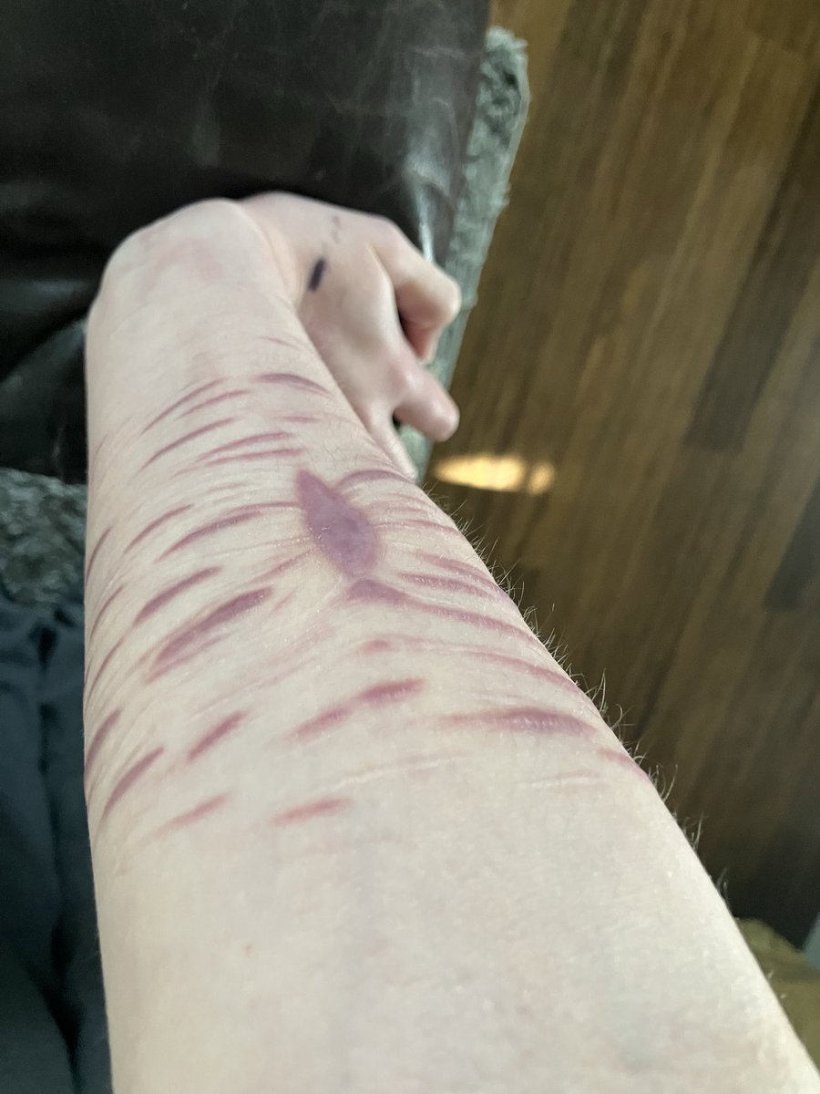 Raccoon • of SHTWT tweet media