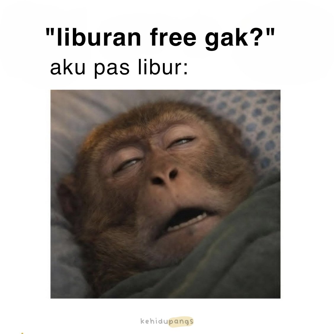 erpang tweet media