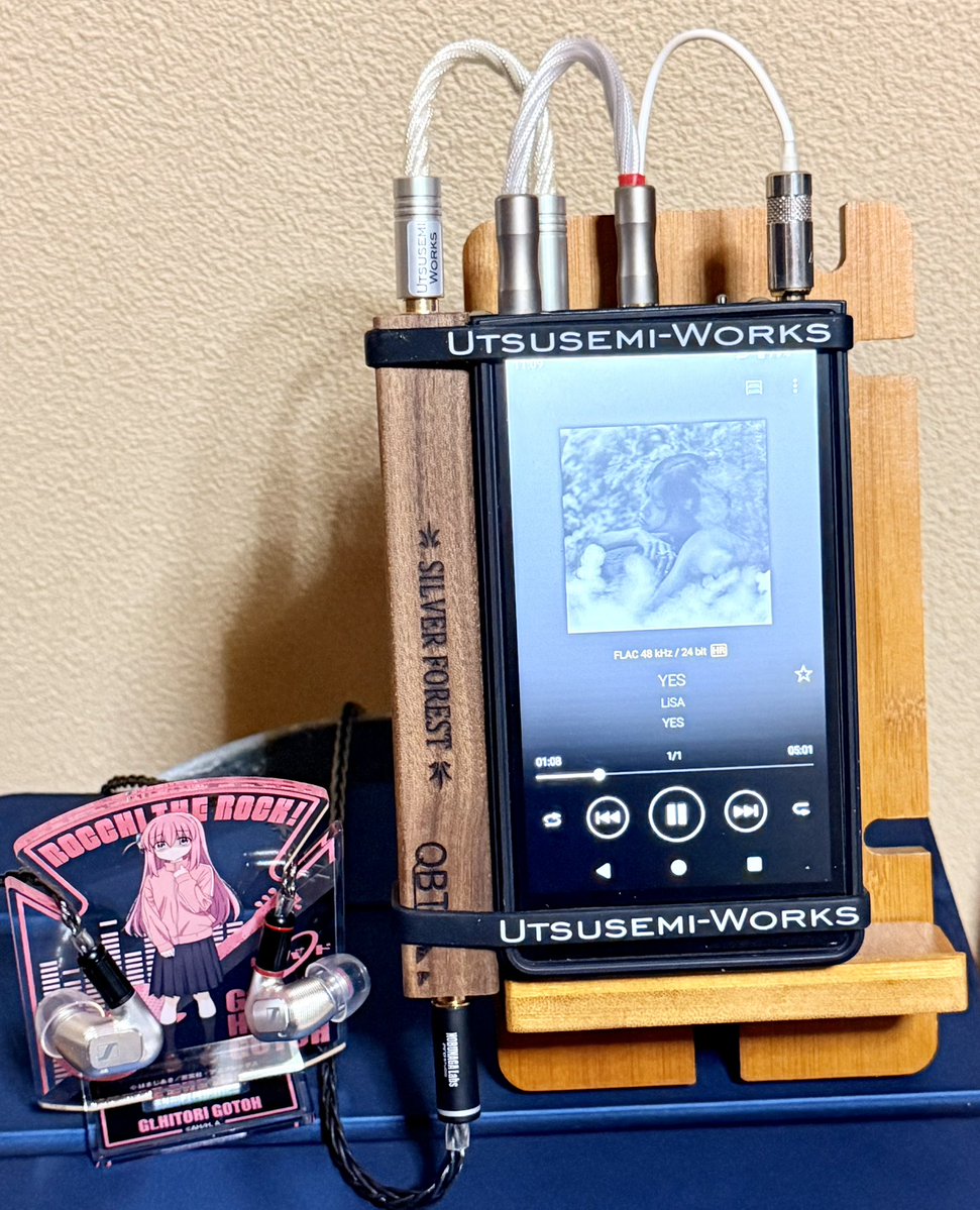 味噌　エイブ・サピエン（ラスプーチン無し） 詩も曲も深雪すぎて泣ける ZX707 IE900 SOUNDTIGER Type-L NOBUNAGA