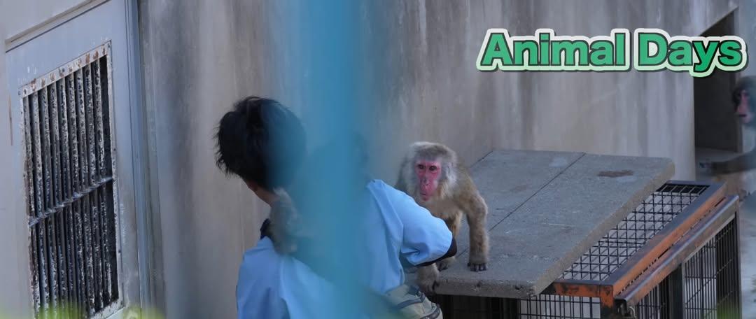 Animal Love tweet media