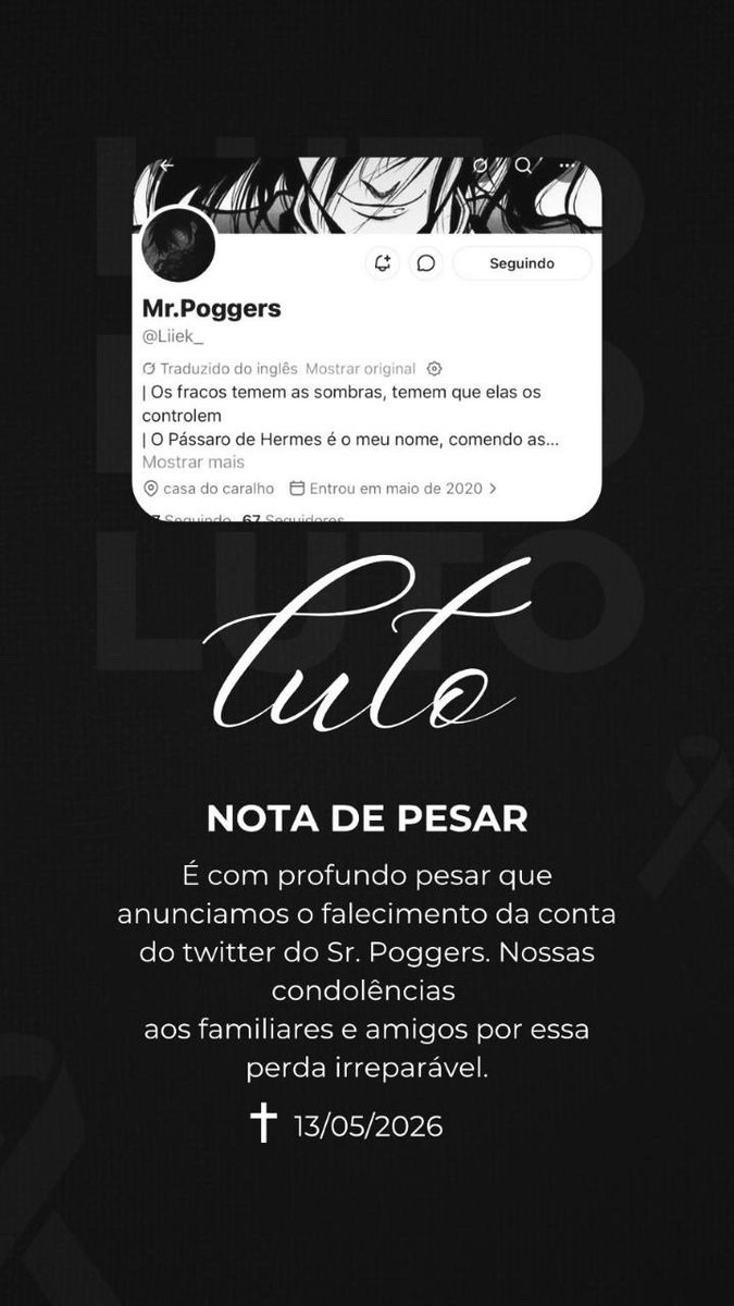 🕷️ tweet media