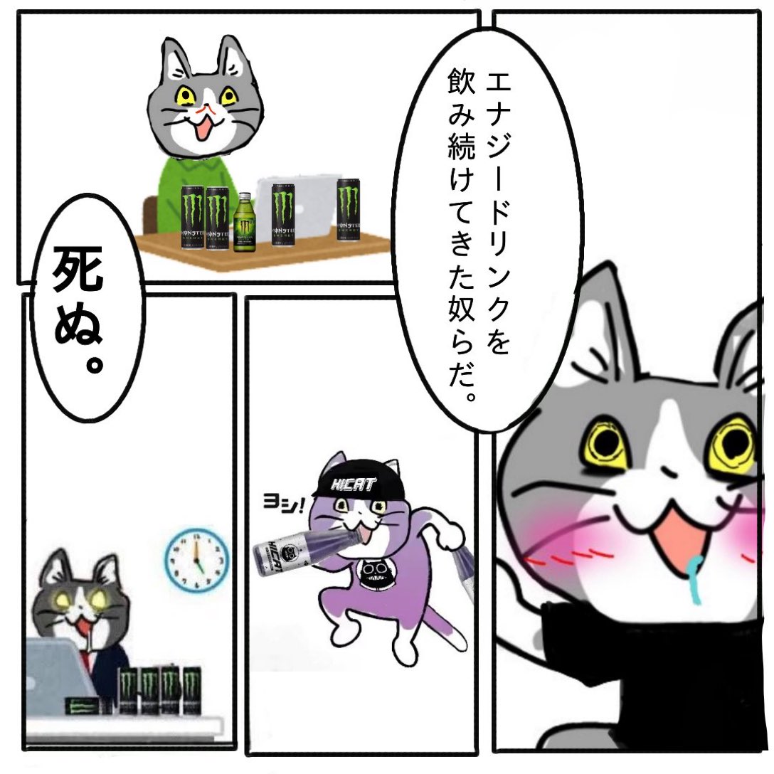 漫喫猫😺時々銭湯猫 tweet media