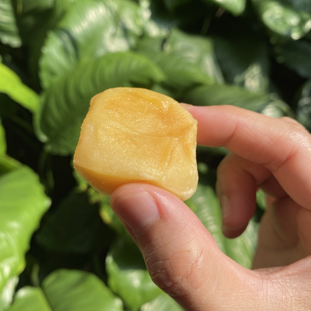 dimitri_nin's tweet photo. Sumprit enak banget ini bakpia mutiara, mehhh… kemana aja gue selama ini. 🤭🤣 https://t.co/UDj4kGg9mv