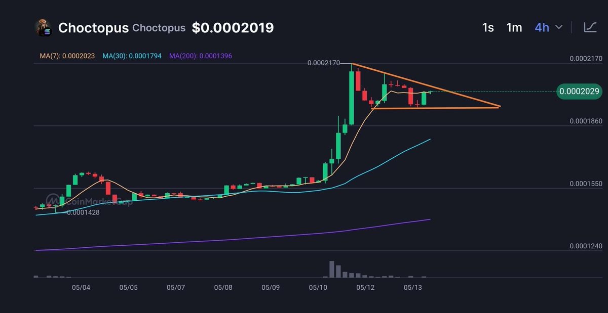 Bitzerk2's tweet photo. @mrworldwideinc @Fityeth @henokcrypto Bullish pennant in play for $Choctopus! https://t.co/zwOZLGoesy