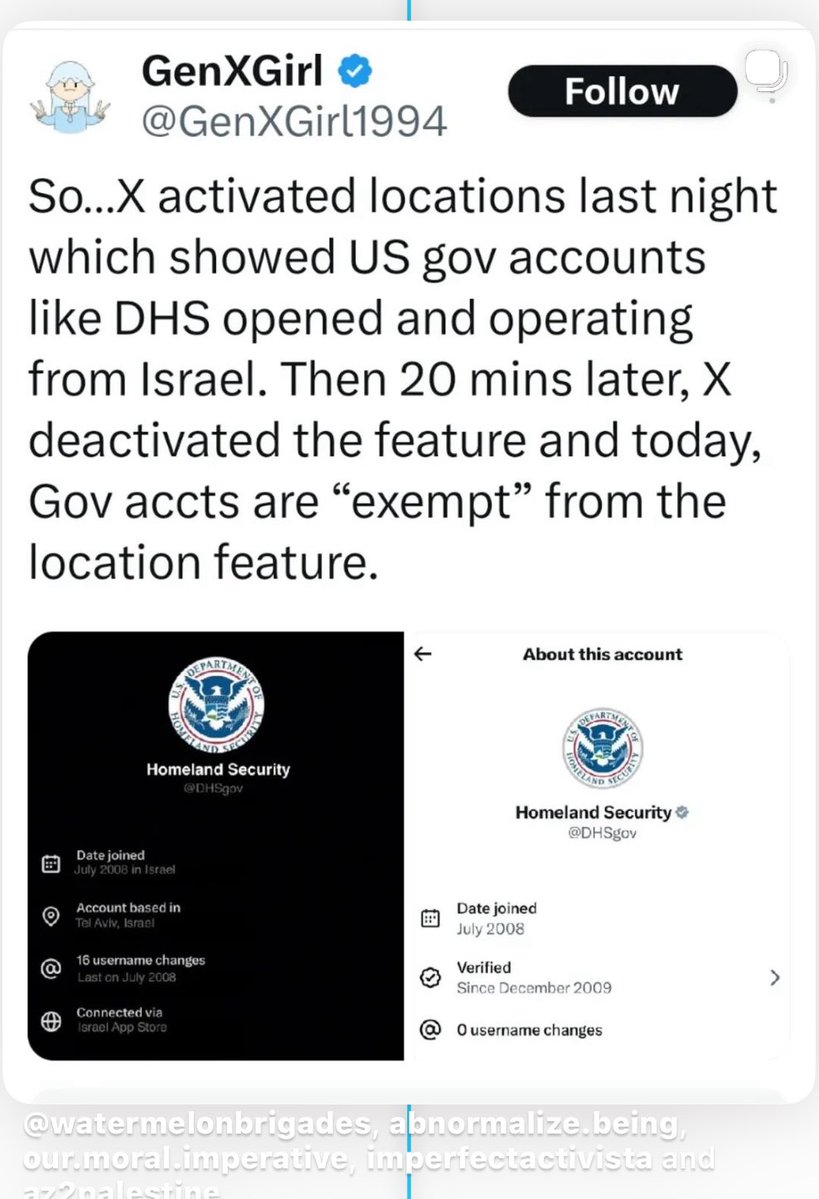 BeyaTunisia 🇹🇳بشرى tweet media