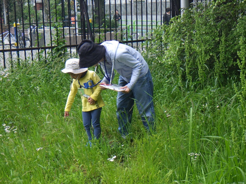 mawarunn's tweet photo. るん♪るん♪
５月９日の自然あそびクラブの様子だよ！
 
ビオトープの葉っぱでこいのぼりを作ったよ！どの親子もみんな家に飾るのを楽しみにしていたよ
まわるんも嬉しいなあ
 
 #精華公園ビオトープ　#こいのぼり https://t.co/FjujzyBHVW