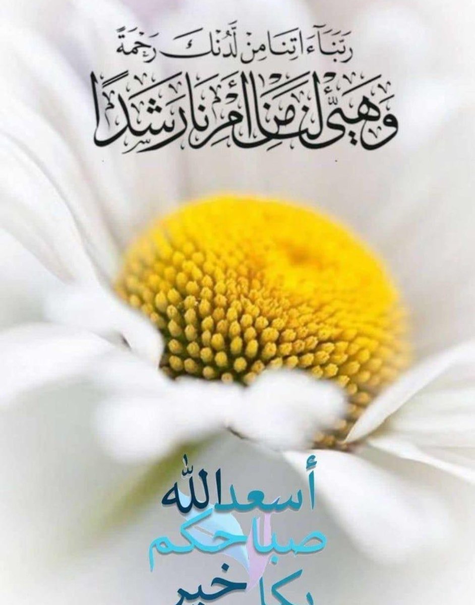 إبراهيم tweet media