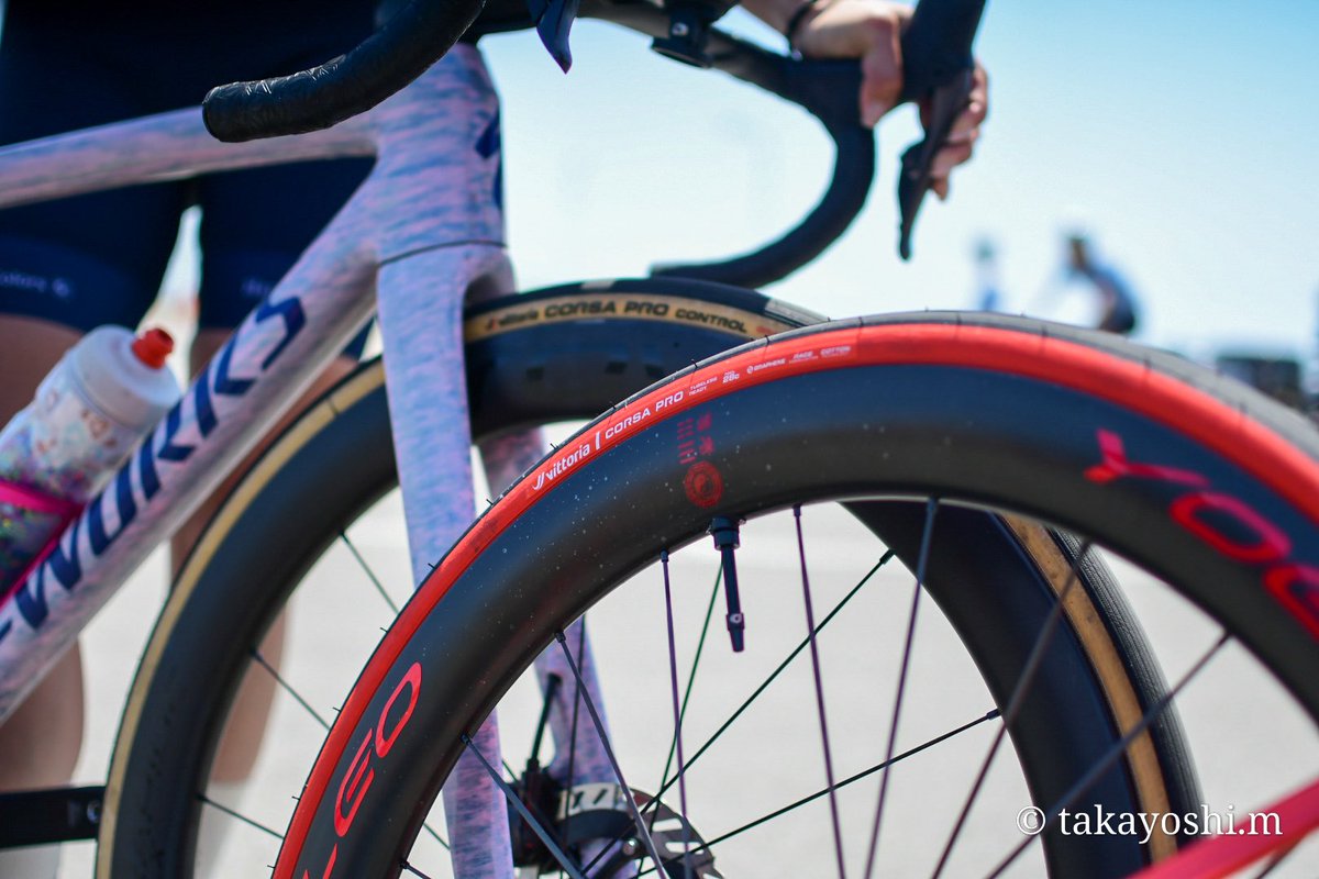 mitsushiro88's tweet photo. #plating
#QianKun
#YOELEO
#Vittoria
#CorsaPro
@vittoria_japan https://t.co/cW1YHhtVV0
