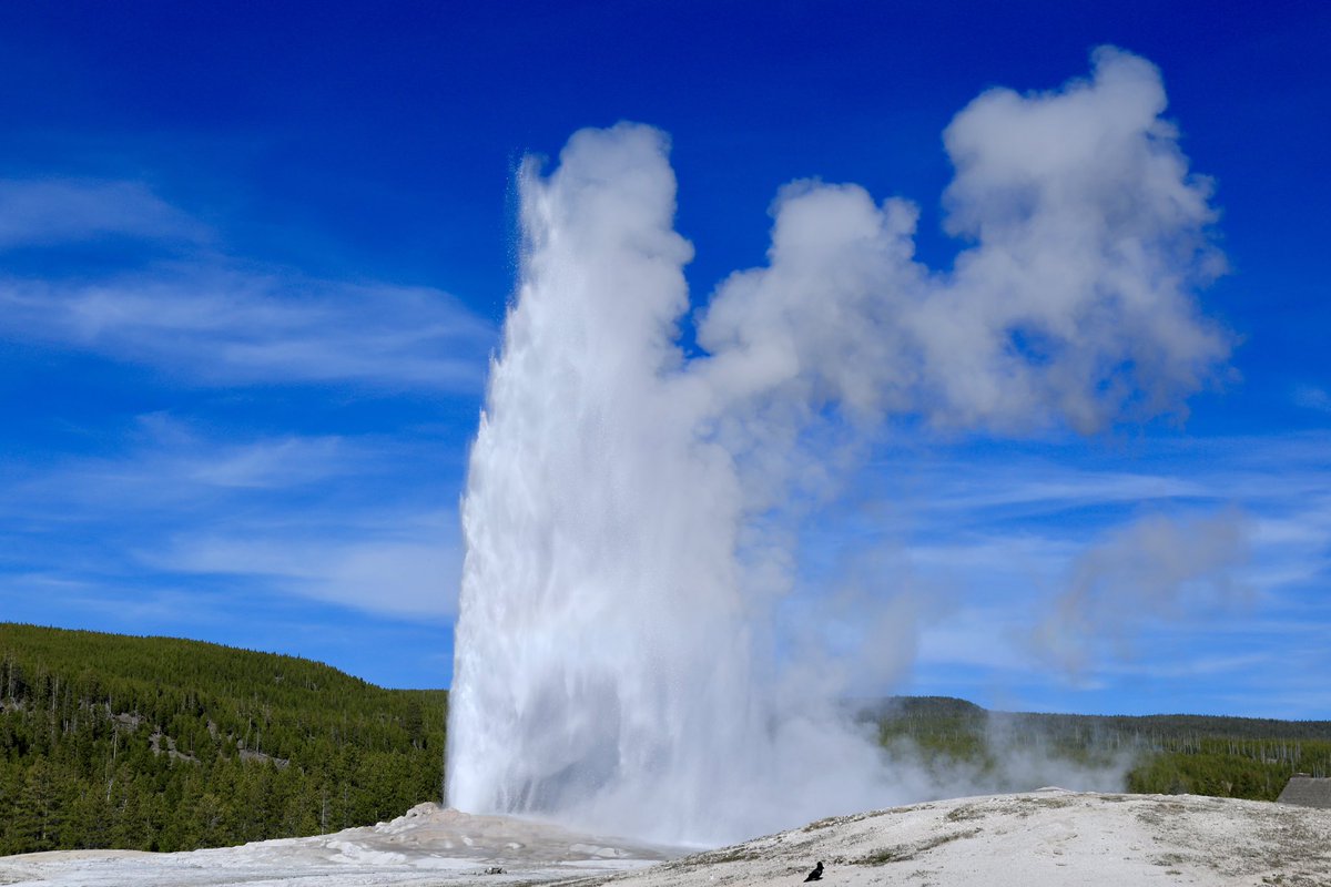 Ramboxf88's tweet photo. 黄石公园♨️
Yellowstone National Park https://t.co/c5d6i0PPW0