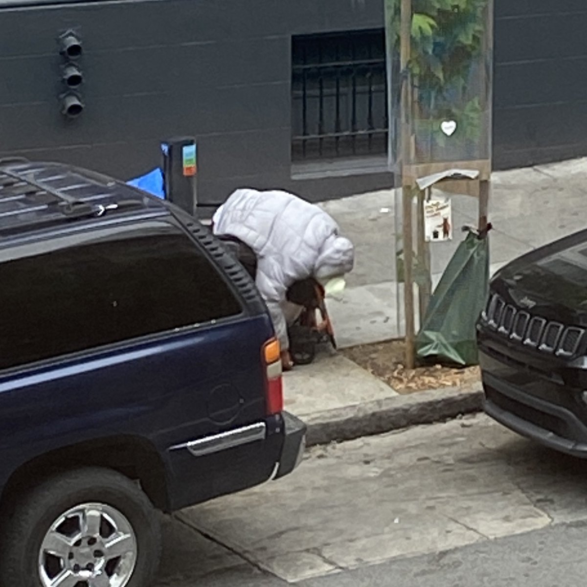 Tenderloin Tube tweet media