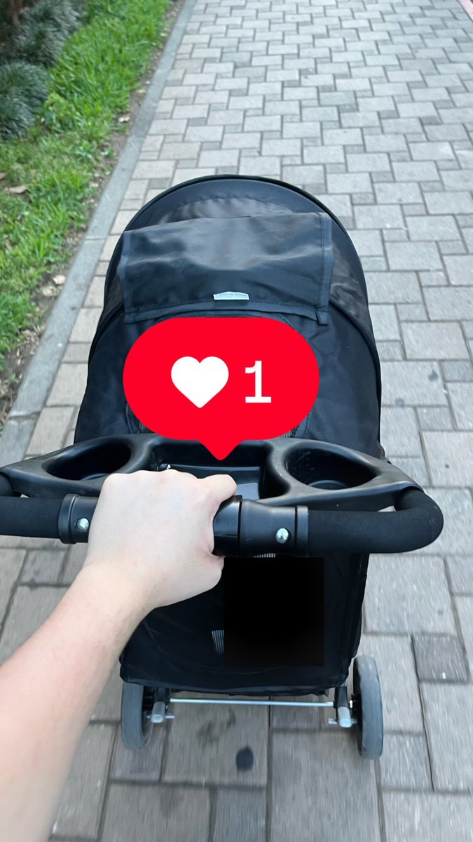 hanna pazzetti tweet media