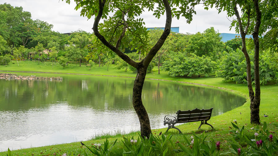 SouthernStarGA's tweet photo. Stormwater Retention Pond Management

If you own or operate a large commercial property in Georgia, then chances are there is a retention pond within that property. These ponds manage stormwater runoff, erosion, and flooding issues. Property managers ...

https://t.co/CIZvQh2K6x https://t.co/FzevdxmqFk