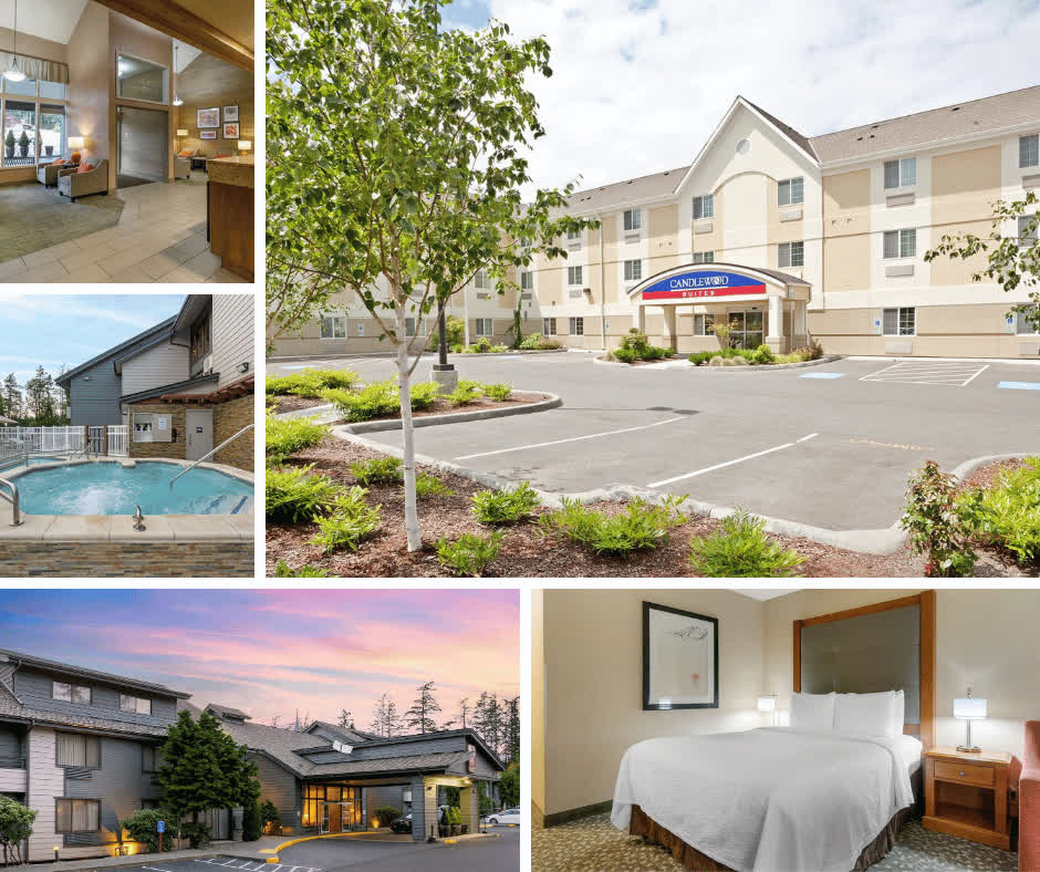 crystalip's tweet photo. Dual-branded layout enables shared staffing and management across 160 keys. Reduced overhead, more substantial margins.
#OperationalEfficiency #PrivateHospitality #CrystalIP #HotelForSale

https://t.co/BAYGD24Z2C https://t.co/etkiKXvzCF