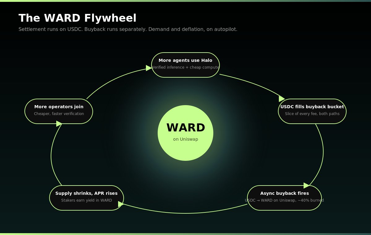 CryptoDinduz's tweet photo. I think $WARD might be one of the most interesting AI x crypto infrastructure plays right now.

Most AI inference today runs on blind trust:

send prompt → receive output → assume the model actually did the work.

But autonomous agents are already trading, managing capital, and making real economic decisions onchain.

So the real question becomes:

How do you verify the computation actually happened?

That’s the thesis behind Warden Halo.
It’s basically BitTorrent for AI inference:
a peer-to-peer compute marketplace where idle GPUs, Mac Minis, Ollama nodes, and self-hosted agents serve inference across a global mesh.

Tasks get distributed across independent operators and verified through SPEX fingerprints instead of centralized trust.

The clever part:

SPEX uses Bloom-filter fingerprints of model outputs to statistically verify whether computation was honestly performed.
Honest runs converge.
Fake outputs don’t.

Meaning AI computation can be verified in seconds without massive latency overhead.

The token design is clean too:
Users pay in USDC.
Operators earn in USDC.

$WARD becomes the value-capture layer through automatic buybacks, staking rewards, and token burns tied directly to network usage.

This feels less like an “AI coin” and more like infrastructure for the autonomous agent economy.