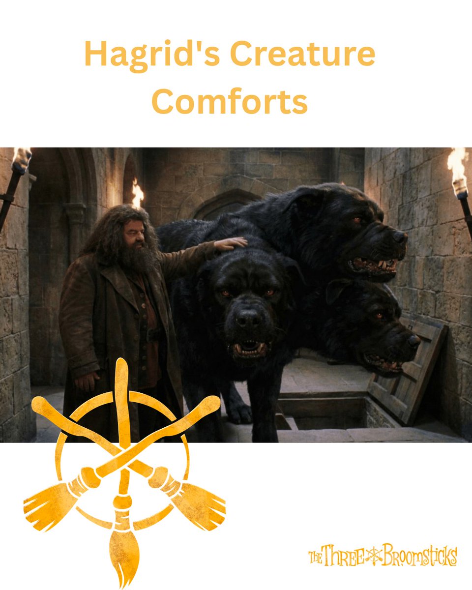 threebroompod's tweet photo. Ev and Taavi discuss Hagrid's questionable taste in pets. Unsurprisingly, it's all Dumbledore's fault again. 

Check it out: https://t.co/83id8v6QUN https://t.co/Lm06BXFdAj