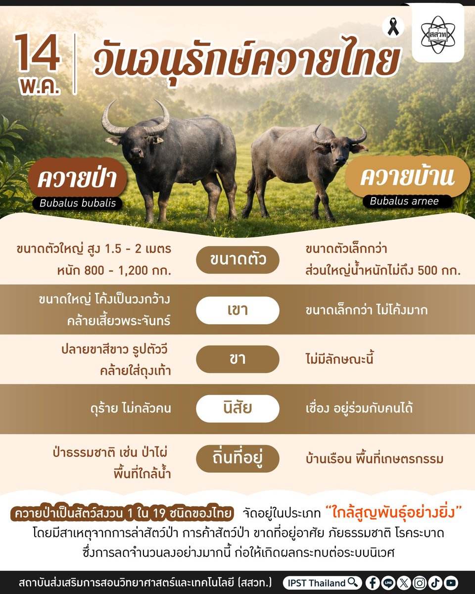 IPST Thailand tweet media