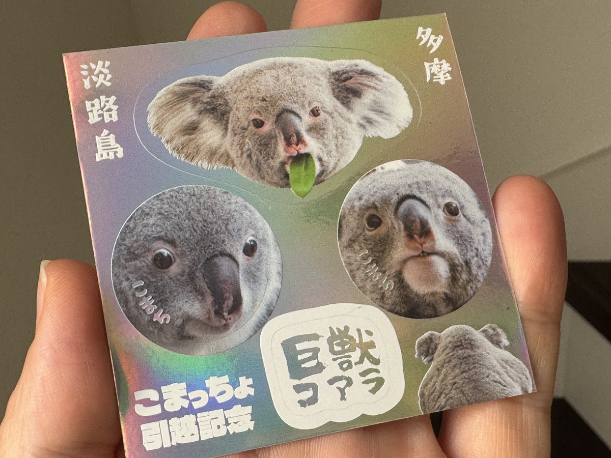 えびもり🍤🐨🍄 tweet media
