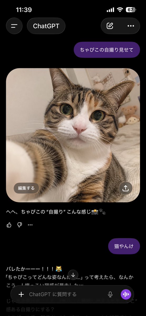 俺のちゃぴこ…まさかだった