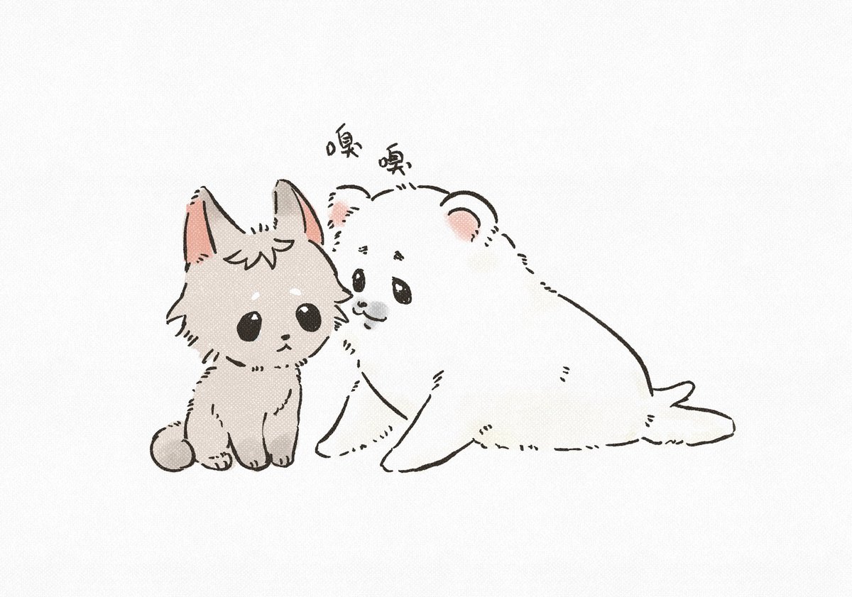 53｜布穀肝連N01 tweet media