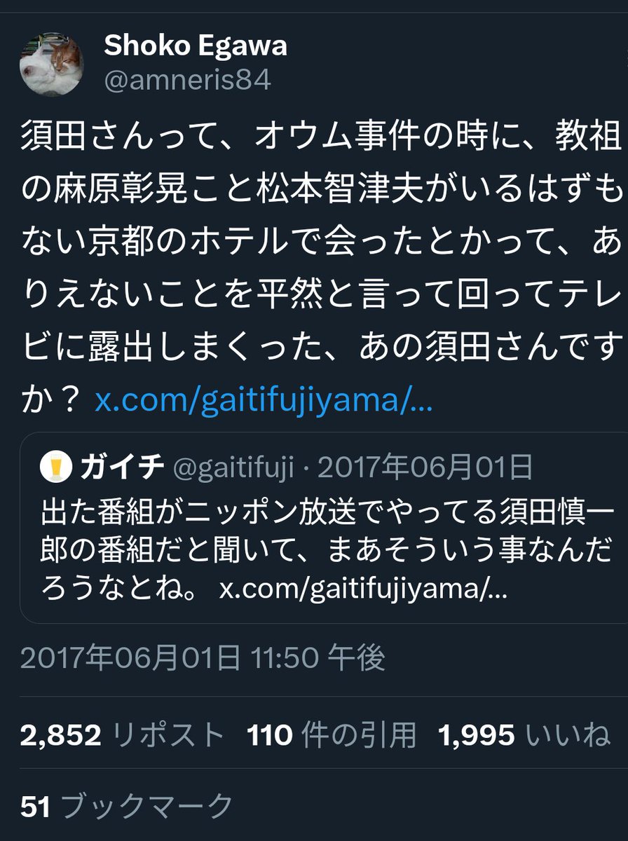 温泉ペンギン tweet media