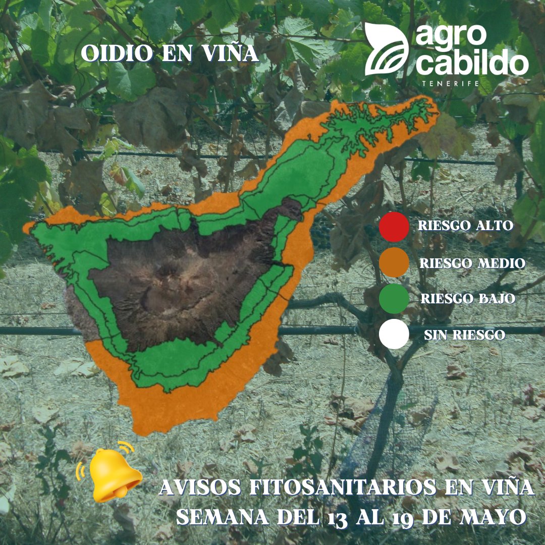 AgrocabildoTenerife tweet media