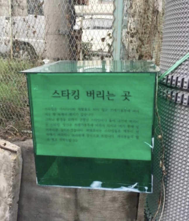 ᵇᵃᵇʸ펀즈(ファンズ)🍓 tweet media