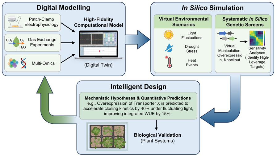 Molecular Plant & Plant Communications tweet media