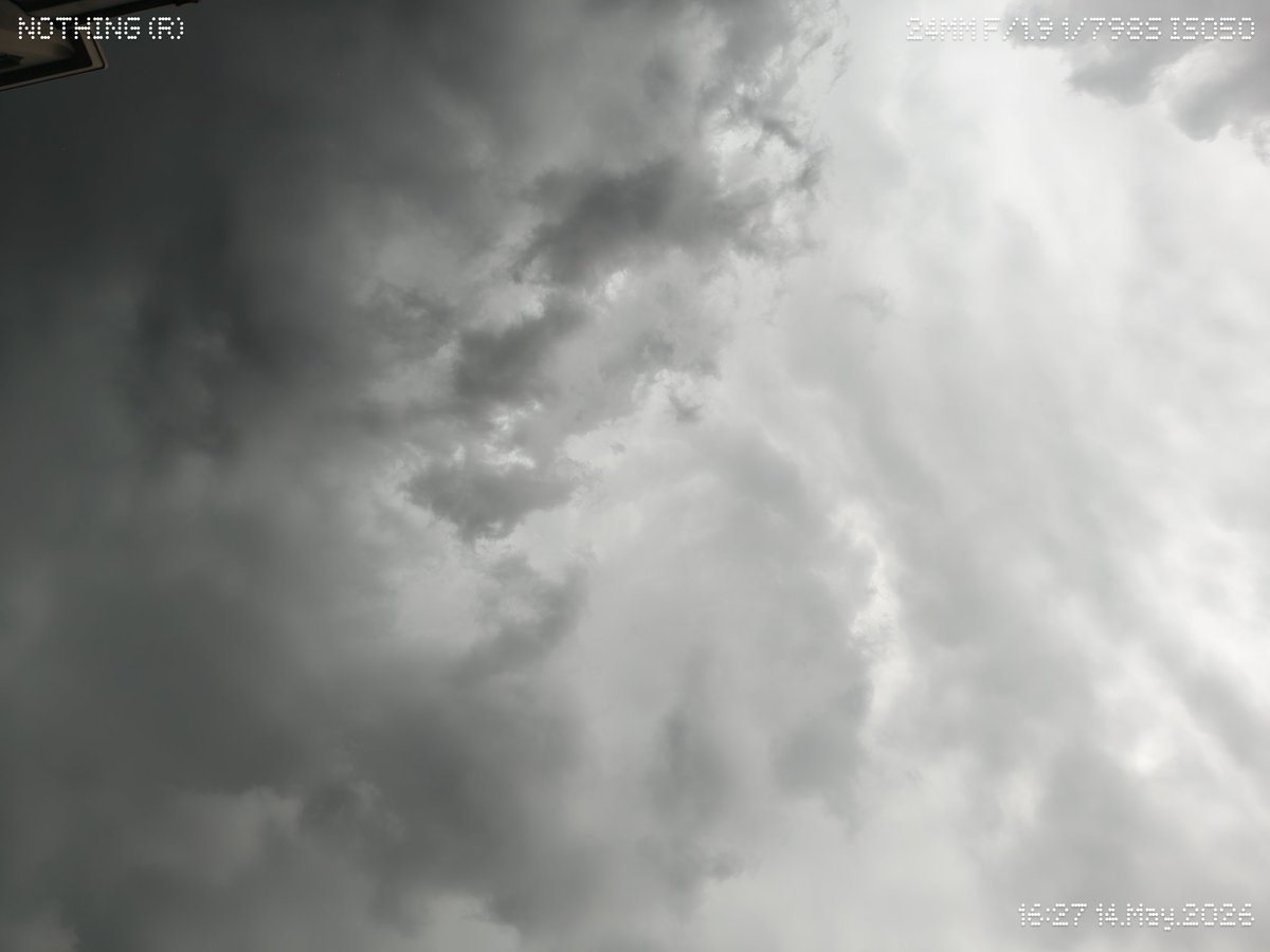 くわがた tweet media