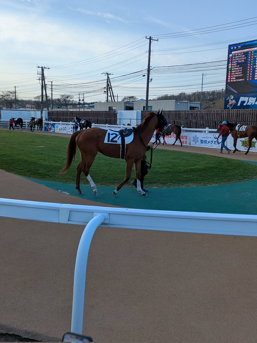 pj_3104's tweet photo. こんにちは☀
連休に気分転換に門別競馬場に行ってきました。年々人が多くなってきて３時間立ちっぱなしでした。少し勝て良かったです。
先週の日曜日は法事でした。色々と出かけることが多くて疲れが全く抜けないです。
明日は通院日だけど行ける気がしない。 https://t.co/vtlj3JNZek