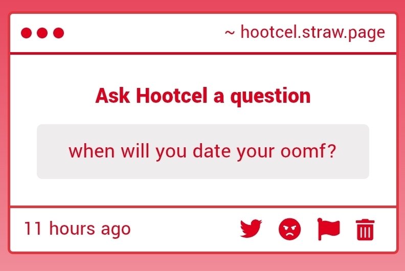 Hootcel tweet media