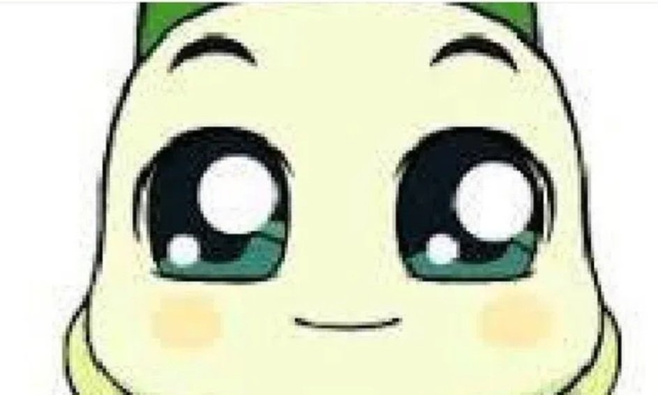 윤👤 tweet media