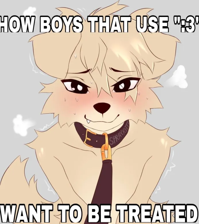 PuppyPosting tweet media